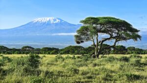 Mount Kilimanjaro